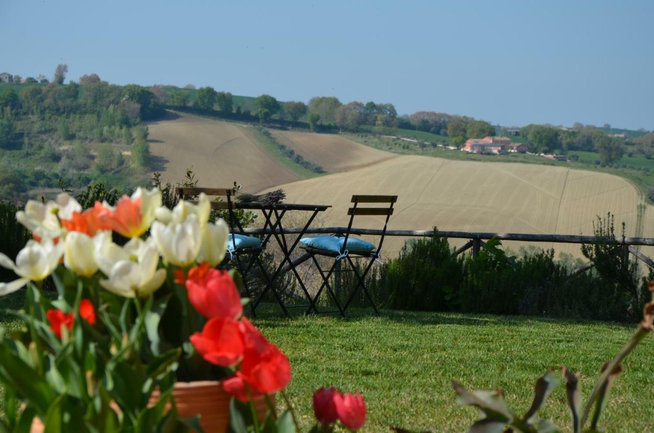Il Posto Perfetto Bed & Breakfast Santa Maria Nuova  Exterior photo