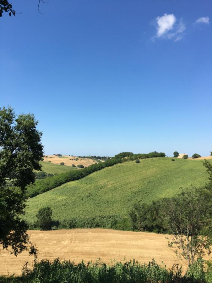 Il Posto Perfetto Bed & Breakfast Santa Maria Nuova  Exterior photo
